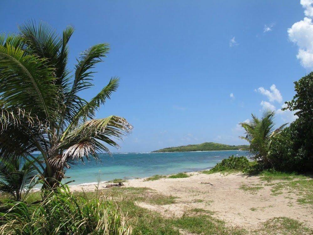 Arawak Bay: The Inn At Salt River La Grande Princesse Eksteriør bilde